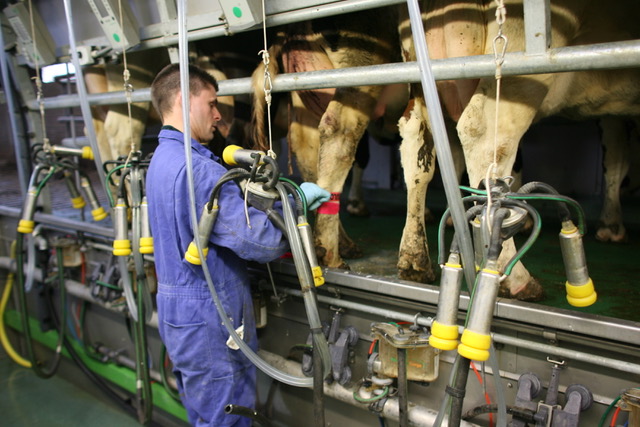 Photo Putting on leg band in parlour