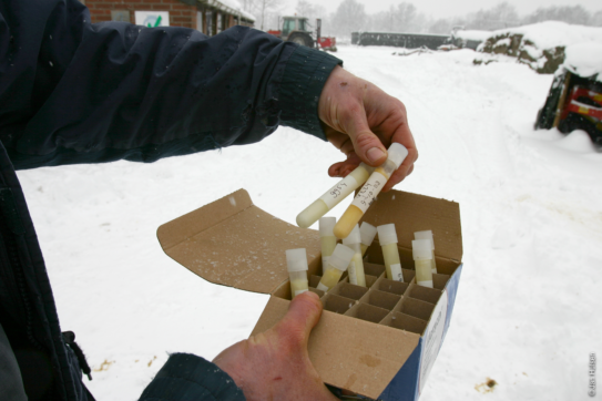 Milchproben in der Box